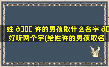 姓 🍀 许的男孩取什么名字 🐈 好听两个字(给姓许的男孩取名两个字好吗)